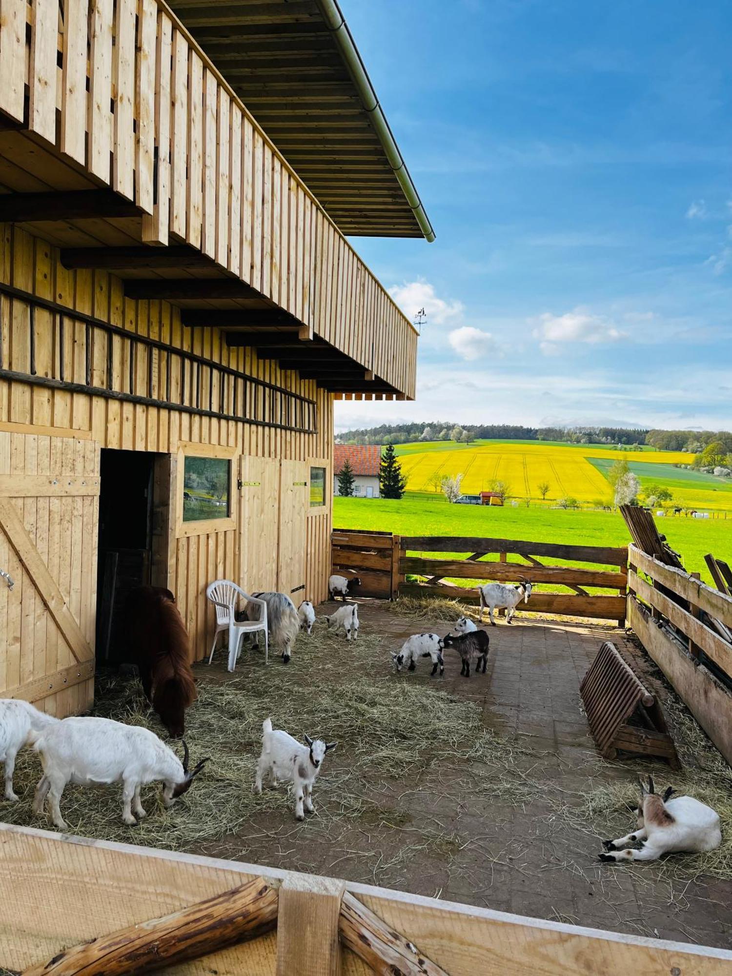 Ferienwohnung Peters Hünfeld Kültér fotó